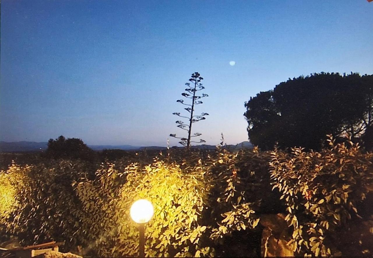 Rifugio Monte Pino Villa Telti Buitenkant foto